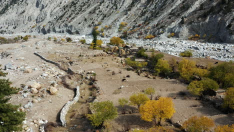 Pueblo-De-Tattu,-Punto-De-Partida-Del-Trekking-A-Los-Prados-De-Hadas,-Pakistán