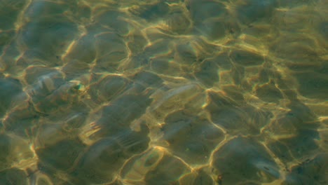 the sparkling and clean water of a shallow sea on a sunny day - close up shot