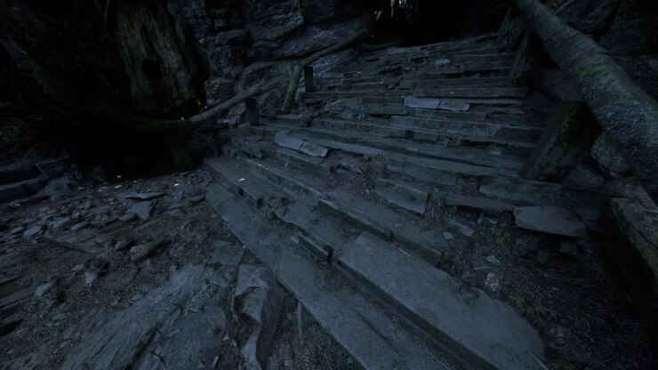 Stairway leading into shadowy depths of an ancient forest trail