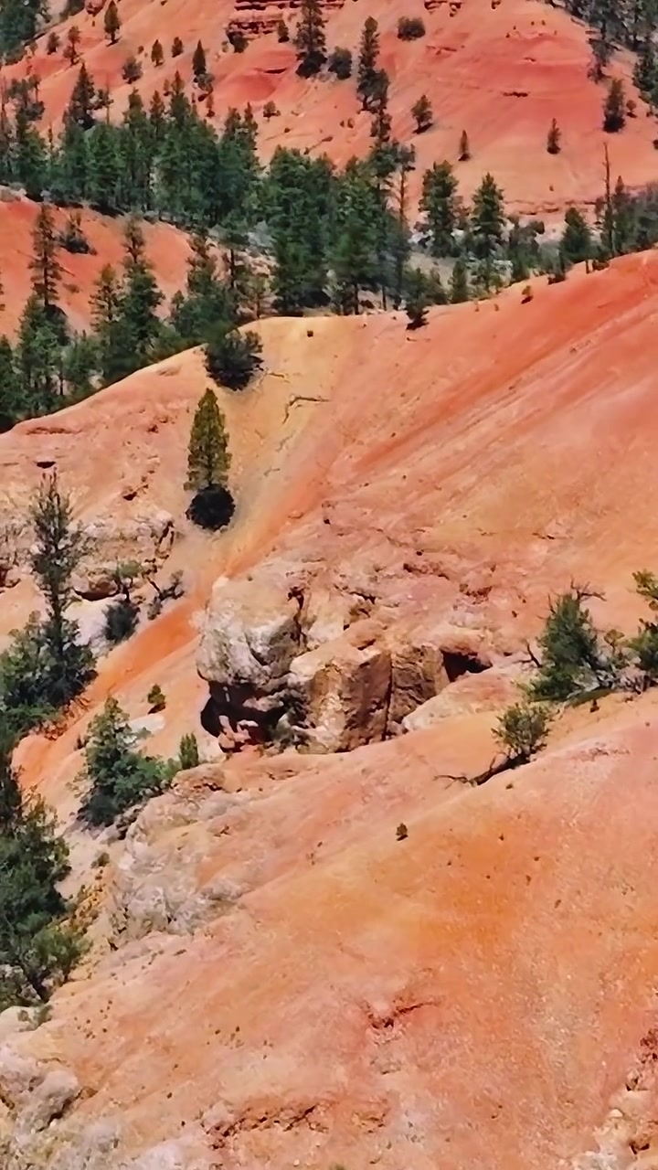 Paesaggio del Mojave con rocce arancioni, alberi e strada di giorno