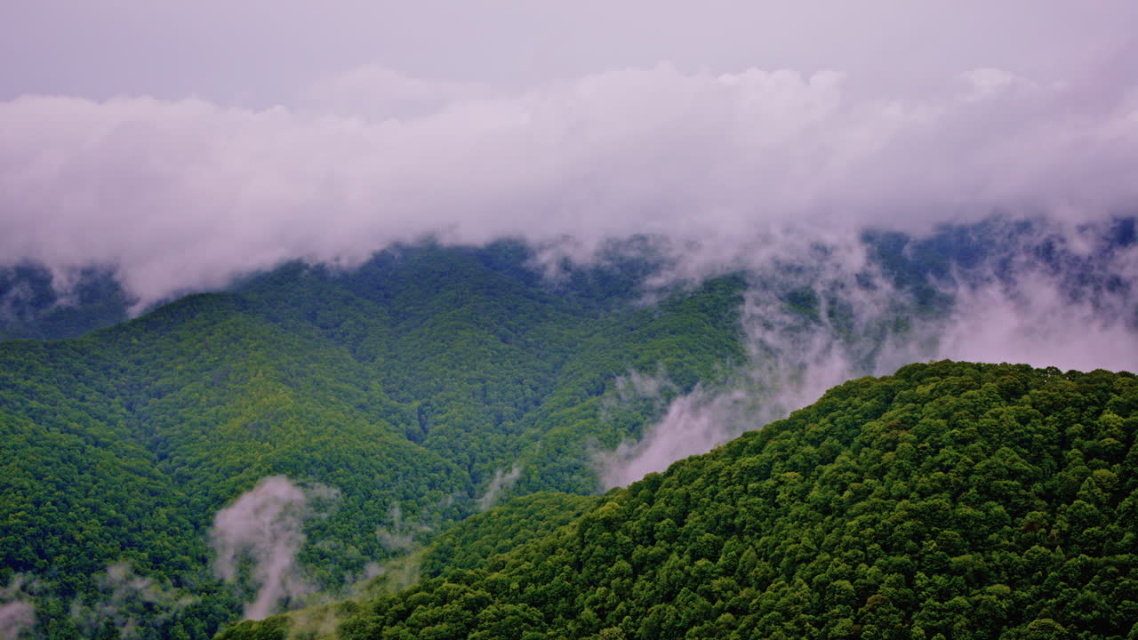 Slow cinematic drone pass above fog-bound Smoky forests