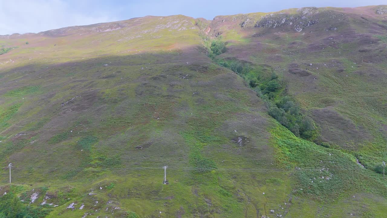 Drone camera smoothly ascends above a grassy, rugged hillside in the Scottish Highlands, revealing lush green terrain, scattered shrubs, and soft natural daylight