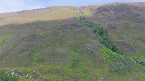 drone camera smoothly ascends above a grassy, rugged hillside in the scottish highlands, revealing lush green terrain, scattered shrubs, and soft natural daylight