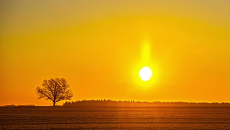 The-beauty-of-solitude-while-sun-is-rising-gloriously,-orange-dawn-scenery-of-Latvia