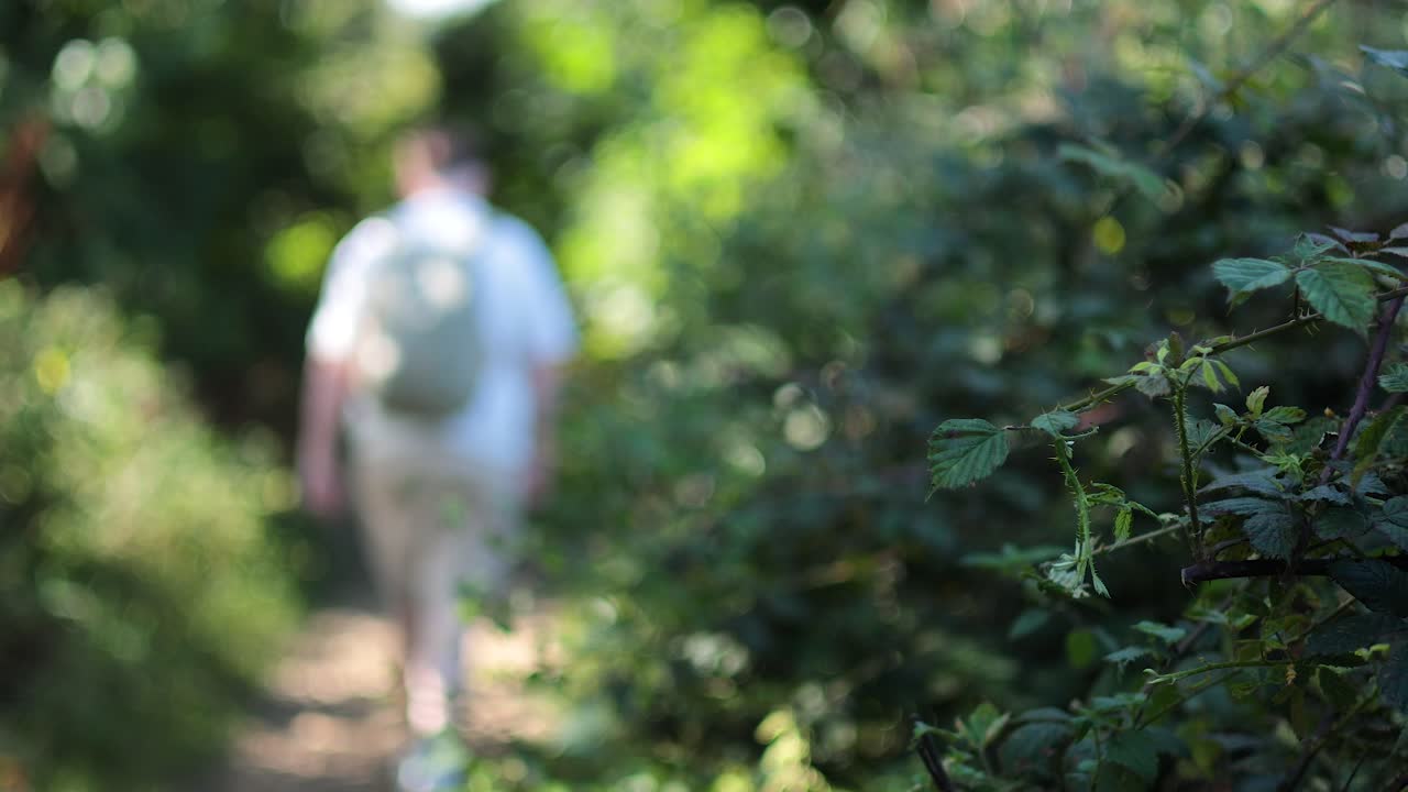 한 남자가 숲길을 고 있다