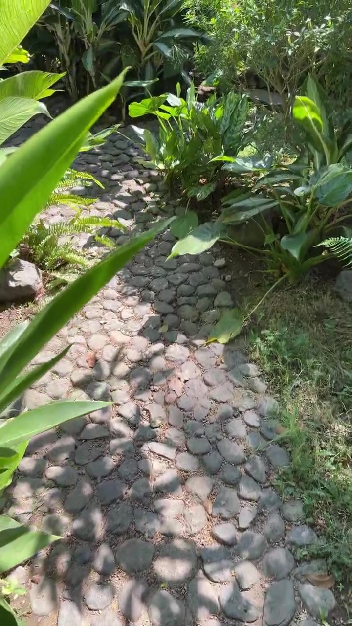 Walking Along a Cobblestone Garden Path Surrounded by Lush Greenery