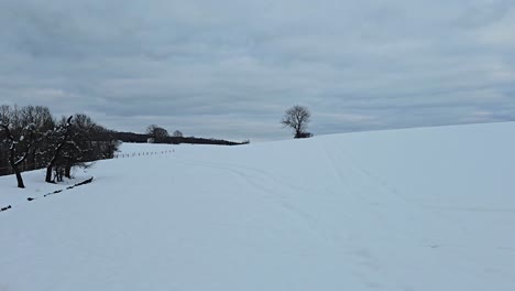 peaceful snow-covered nature scene – winter landscape view