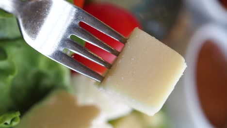 cheese salad on a fork