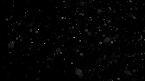 nieve en cámara lenta sobre un fondo negro