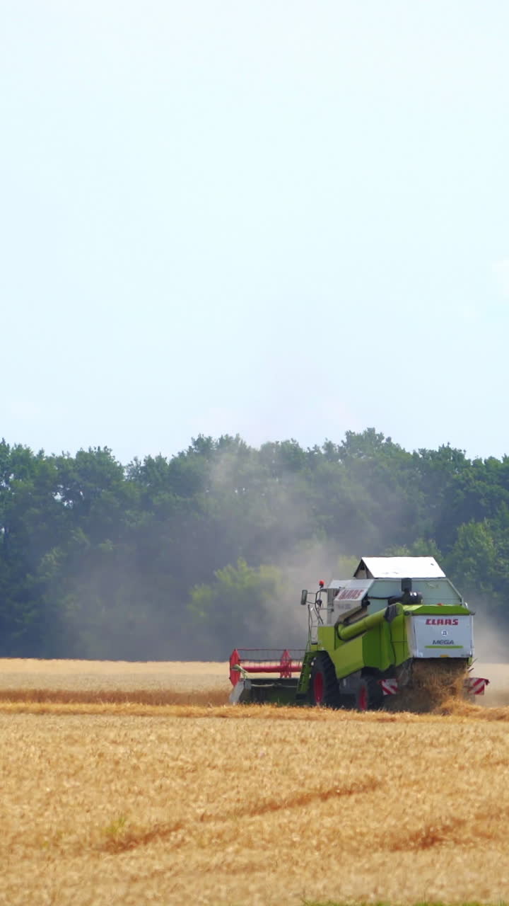 밀 에서 일 하는 수확기