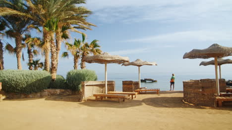 Steadicam-Shot-Mujer-De-Pie-En-La-Playa-Cerca-De-Las-Sombrillas-Y-Las-Palmeras-Mirando-Al-Mar