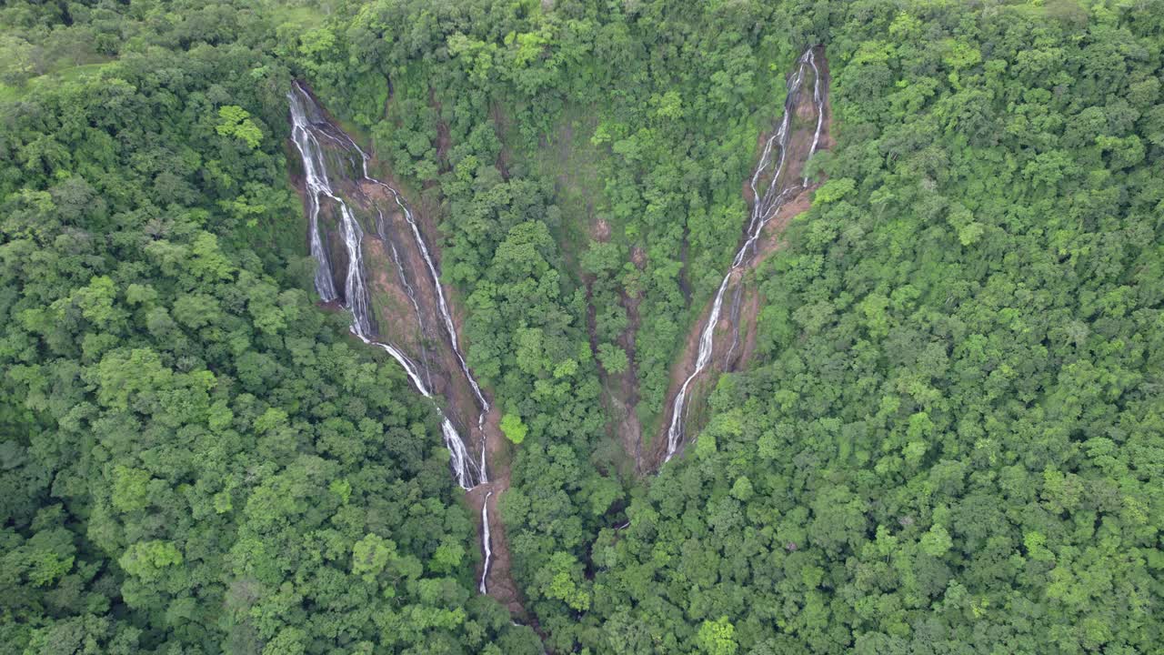 hermosa cascada en el denso bosque de costa rica_4k