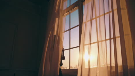 Woman Looking Out a Window at Sunrise/Sunset