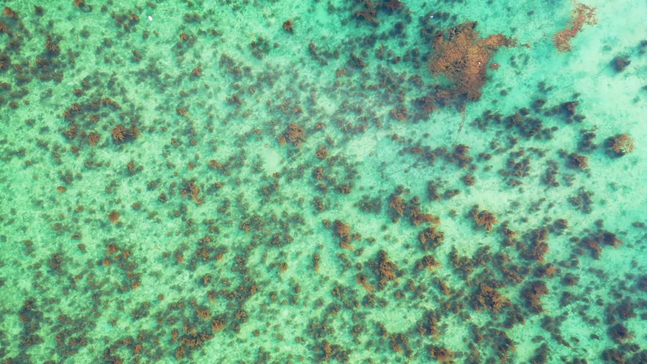 Seawater surface in the lagoon and beautiful coral reef, copy space. Aerial