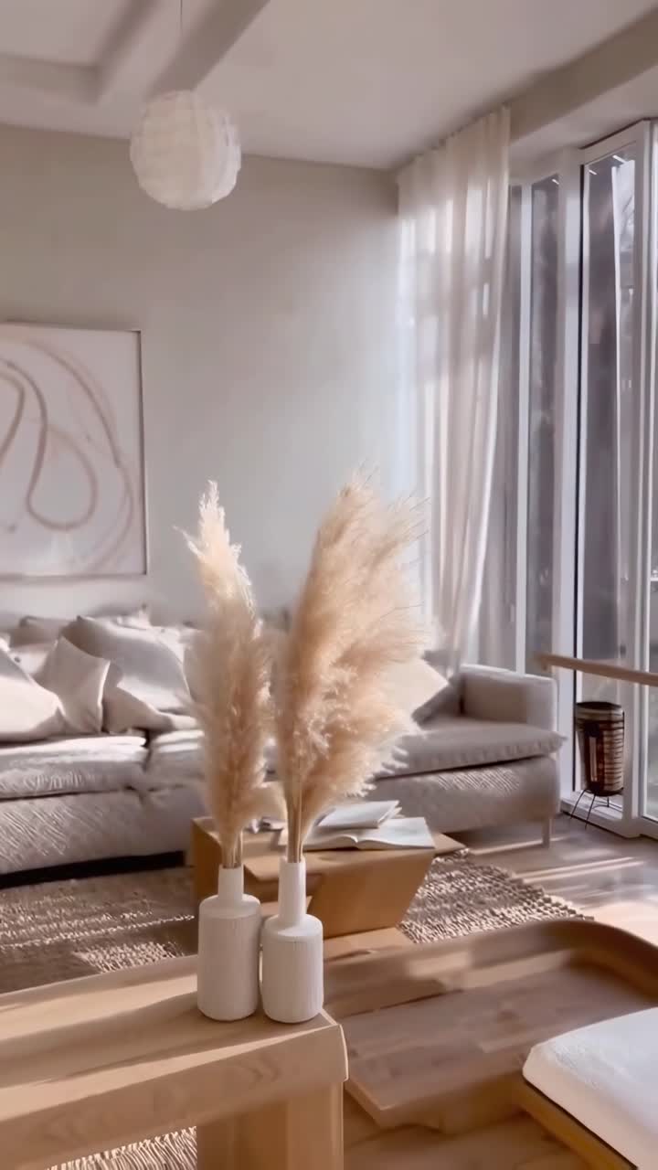 Video estético de hierba de la pampa en jarrones, grabado a la altura de los ojos, con un acogedor fondo de sala de estar.