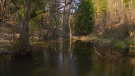 Flying-over-view-of-a-drying-water-stream-in-the-woods-on-country-side-during-summer