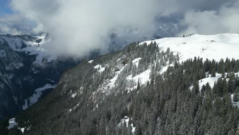 fotografía de un drone en retirada de un bosque de pinos en la ladera nevada de las montañas alpinas ubicada en engelberg, brunni, bahnen en suiza