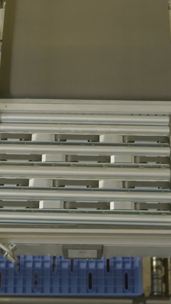 Box on conveyor belt in warehouse, industrial process, efficiency