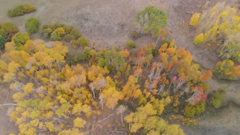 Aerial-view-of-fall-Aspens-over-boulder-mountain-area-in-Utah