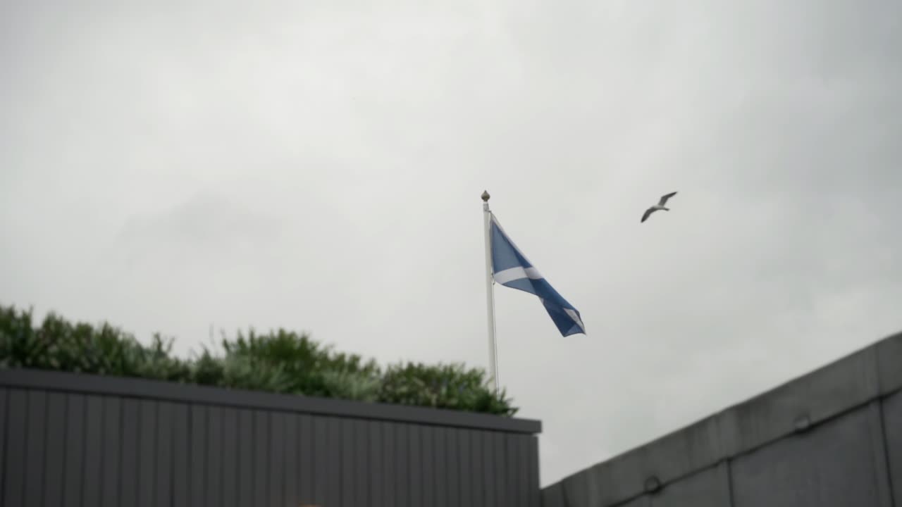 바람에 펄럭이는 스코틀랜드 국기