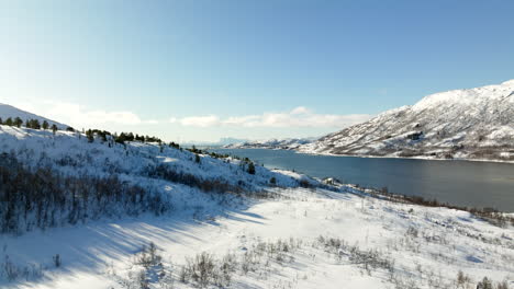 vista a vista de pájaro de las montañas nevadas de lofoten y el paisaje con fiordo y cielo azul