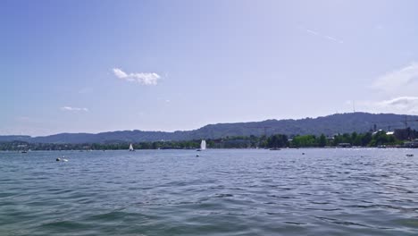 lake zürich with sailing boat, fountain and seabirds on a sunny late spring day.