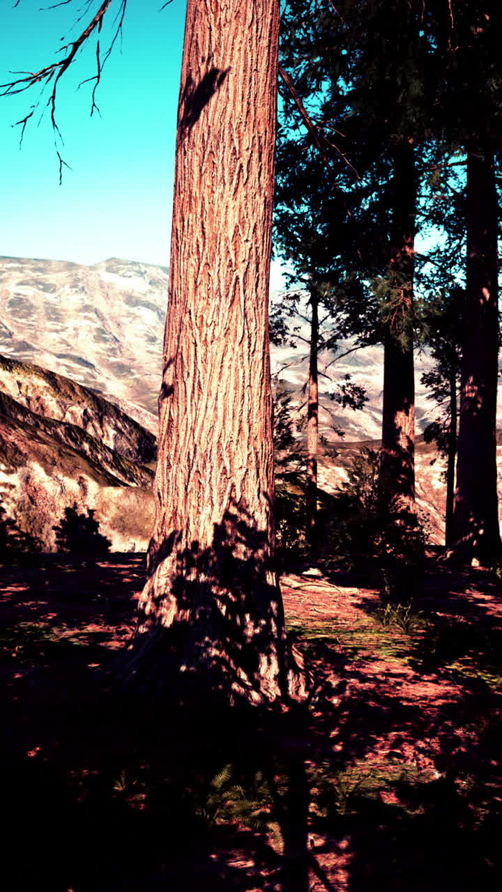 Il maestoso paesaggio della foresta di montagna
