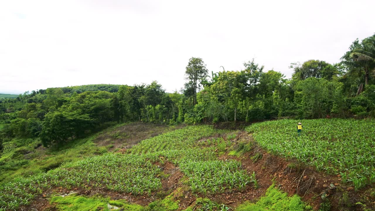 un agricultor vietnamita trabajando en el campo en las tierras altas de dak lak