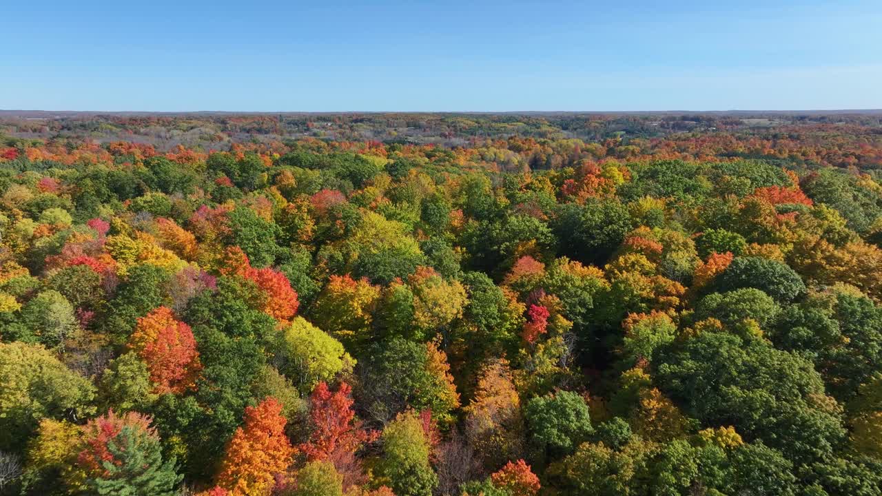 Beautiful Michigan fall colors captured from an aerial view moving fast forward.