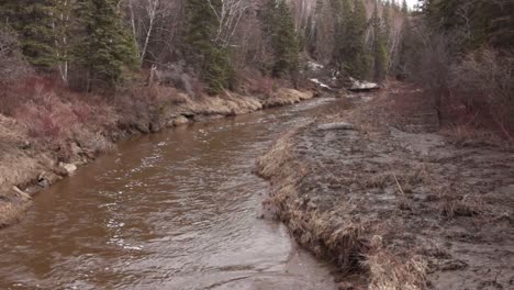 a flowing creek in an urban park - springtime