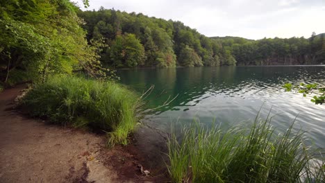 shoreline in plitvice lakes in the park in croatia