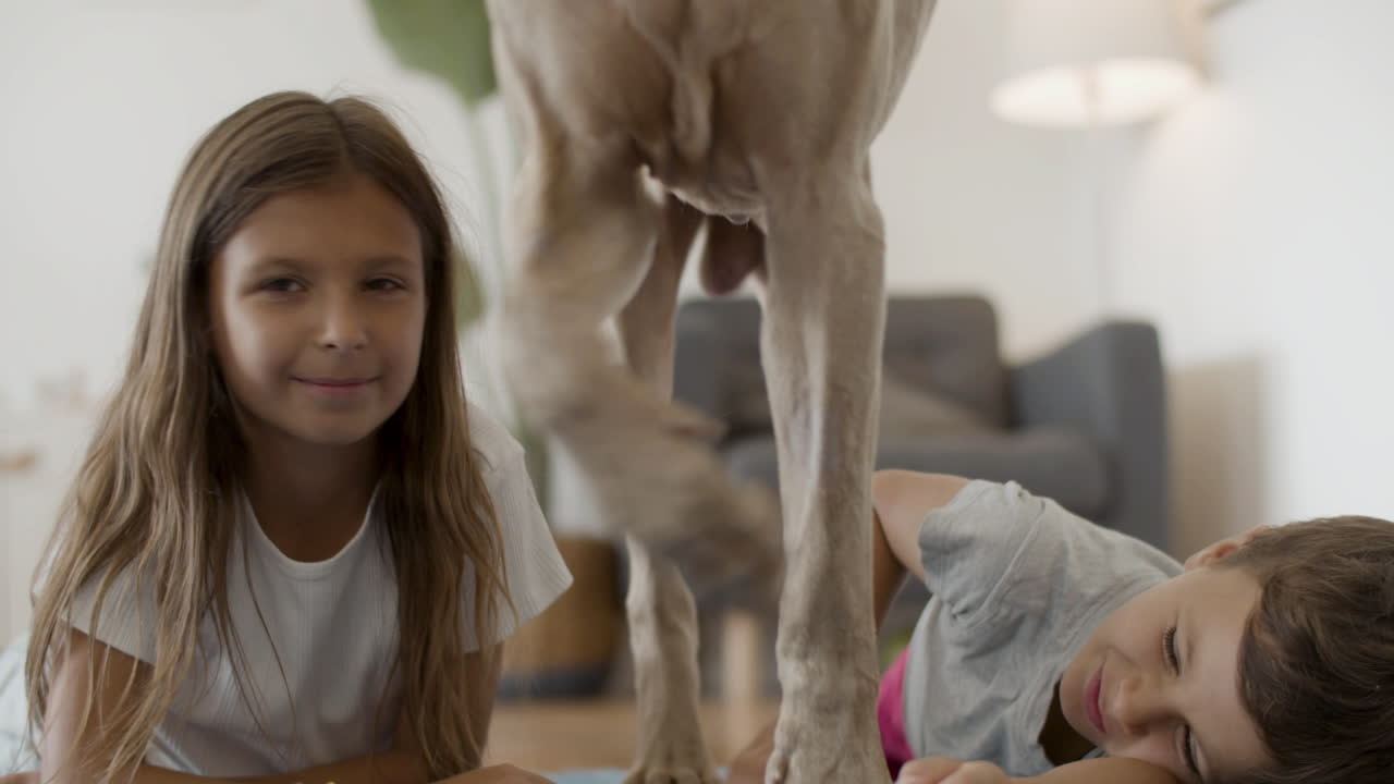 행복한 자매와 형제가 집에서 귀여운 개를 껴안고 키스한 다음 개는 가버립니다