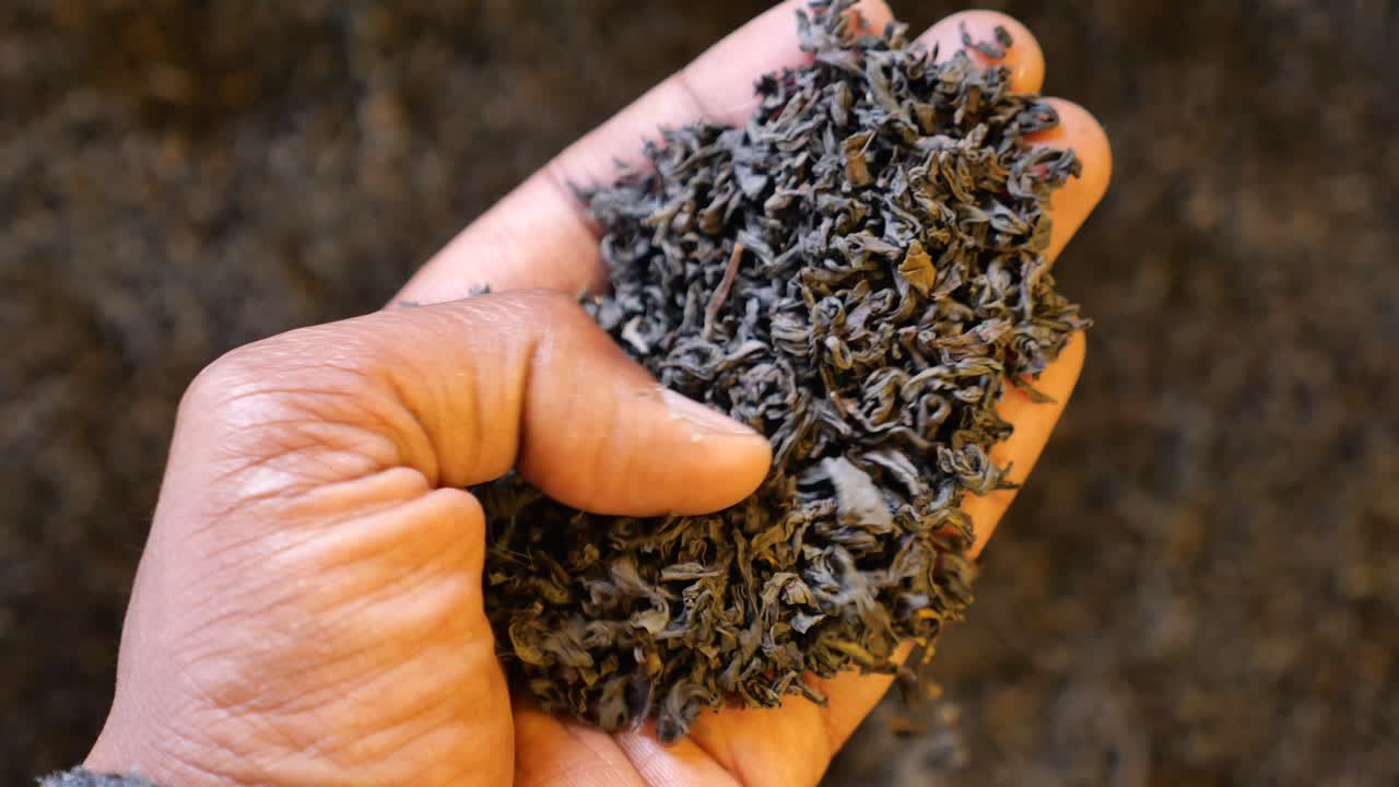 Handful of Black Tea Leaves