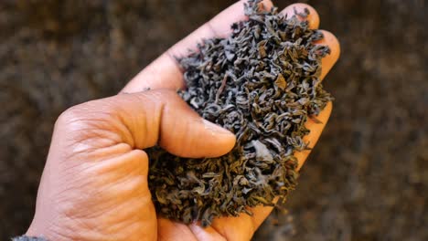 handful of black tea leaves