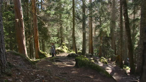 sendero de senderismo forestal con personas