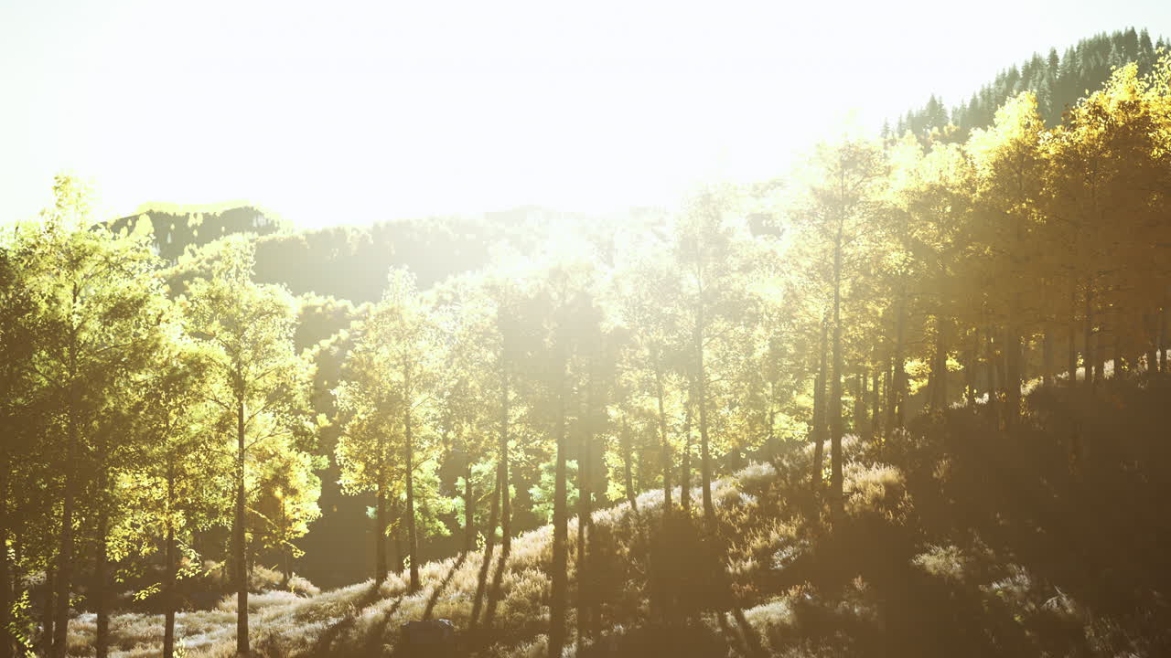 산의 여름 풍경