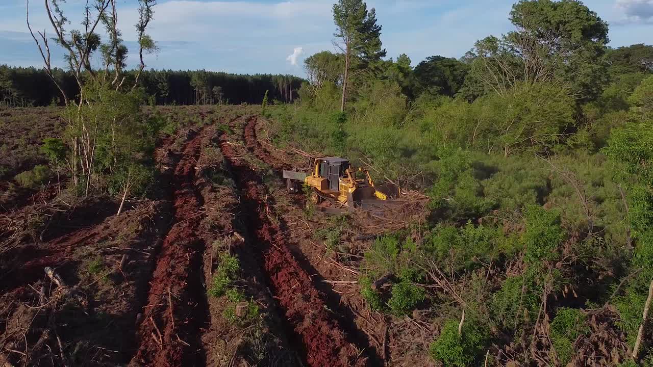 tomada aérea de aviones no tripulados de máquinas de preparación de suelo que convierten la tierra forestal en tierra agrícola de posadas en misiones argentina