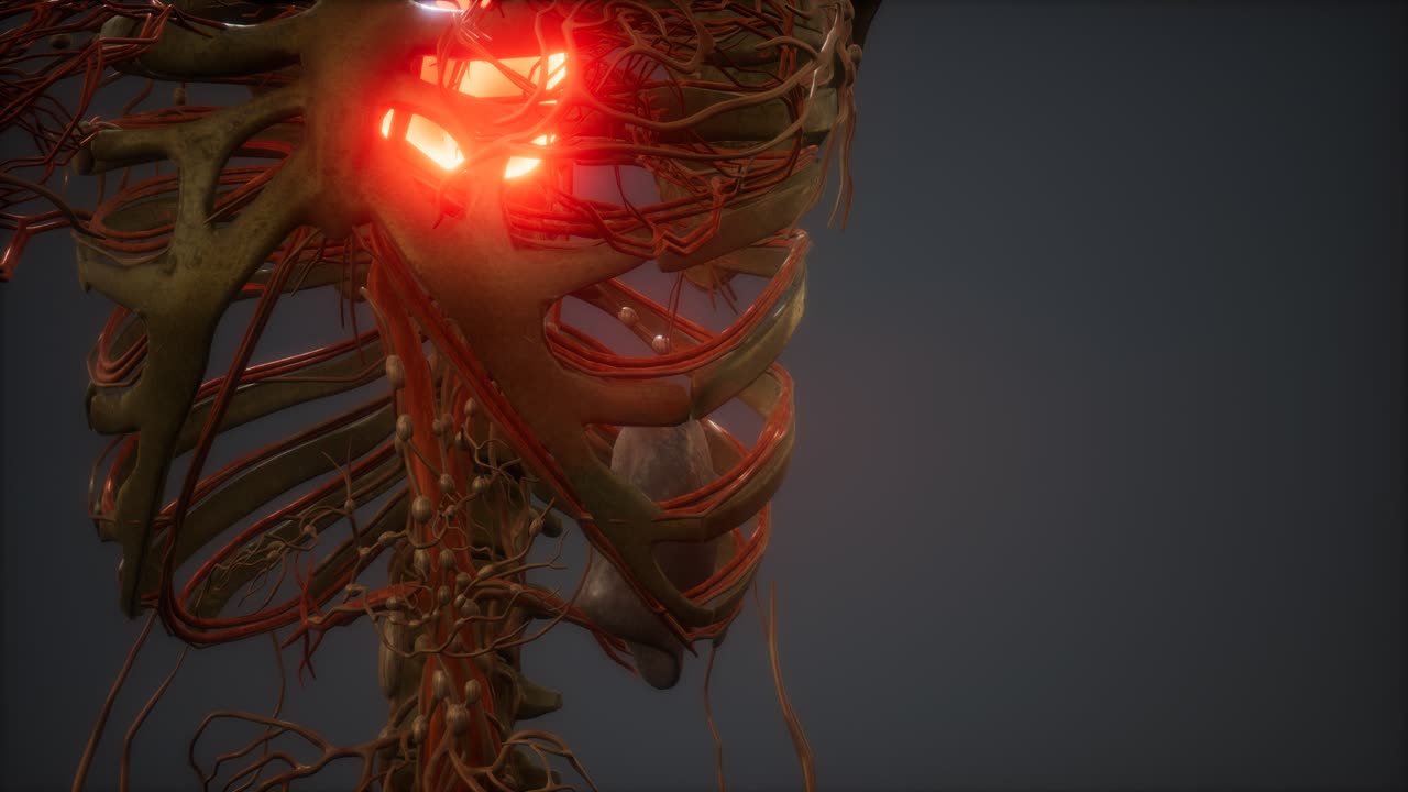 animación cg de un corazón humano enfermo