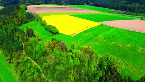 aerial view of yellow flower field nestled among green and brown farmland with forest edge