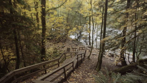 wooden stairs in forest covered by yellow autumn leaves