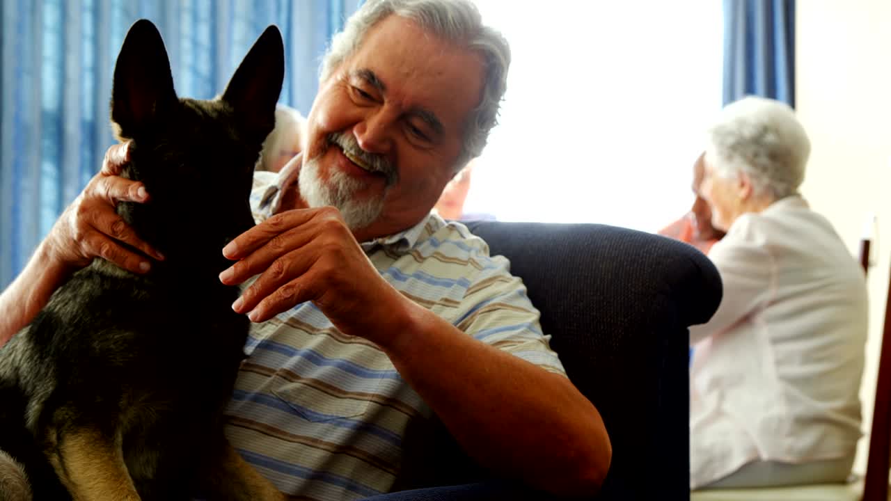 노인 가정 에서 개 를  ⁇ 는 노인 4k