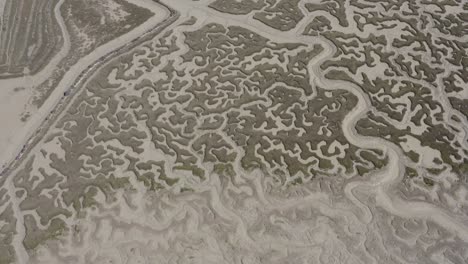 aerial view of intertidal zone and tidal flats