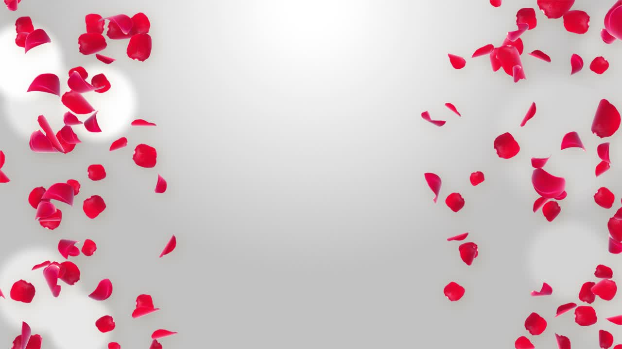 Green screen falling petals rain romantic valentine 4k loop background green screen engagement