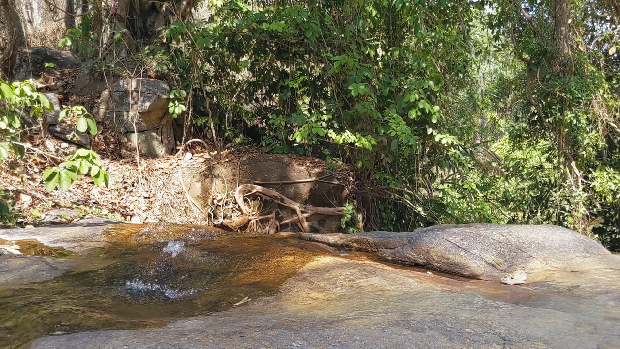 pequeño arroyo que atraviesa el bosque en chiang mai, tailandia