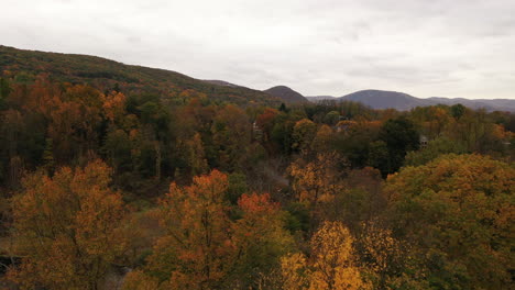 Una-Toma-Aérea-Del-Colorido-Follaje-De-Otoño-En-Un-Día-Nublado-En-El-Norte-Del-Estado-De-Nueva-York