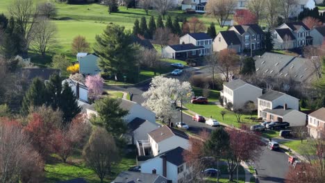 long aerial zoom of blooming trees during spring in american neighborhood