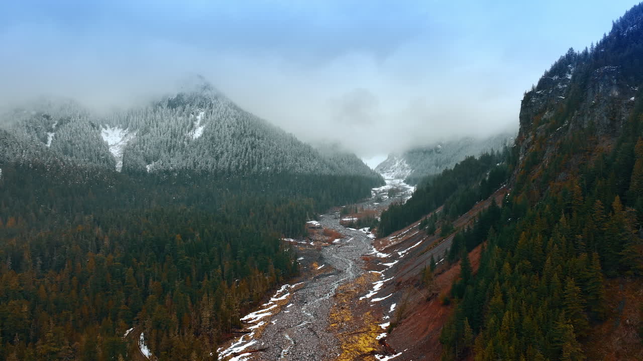 Spectacular scenery of mountains covered with mist and pine-tree forests overgrowing the rocks. Drone footage above the narrow river flowing at the foot of mountains. Mount Rainer national park, Washington, USA.