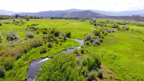 river creek in lush green beautiful vibrant colorado countryside rocky mountains valley