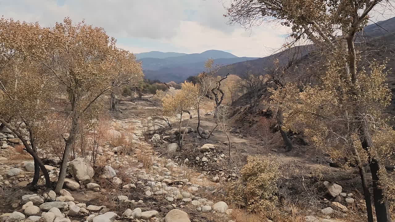 캘리포니아 헤멧 페어뷰 산불 여파