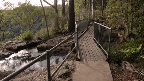 Hand-held-footage-of-creek-crossing-on-the-Purlingbrook-Falls-walk,-Springbrook-National-Park,-Gold-Coast-Hinterland,-Queensland,-Australia